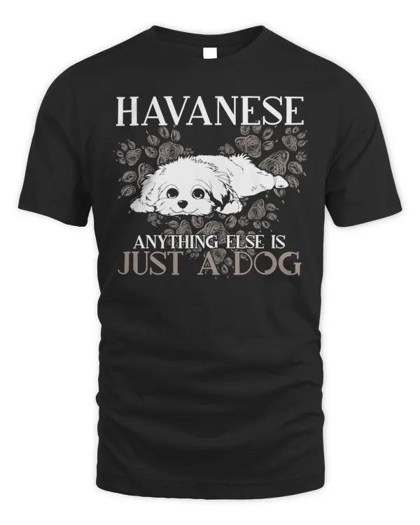 Havanese Anything Else Is Just A Dog Owner Gift T-Shirt