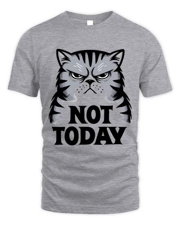 Grouchy Cat Not Today