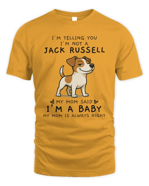 Men's Standard T-Shirt