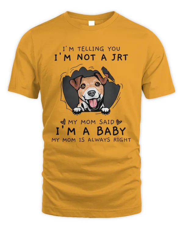 Men's Standard T-Shirt