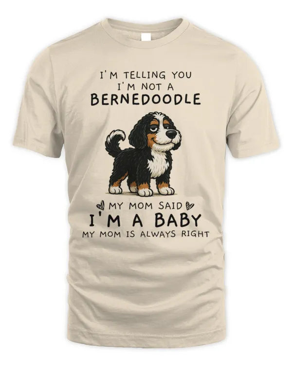 Men's Standard T-Shirt