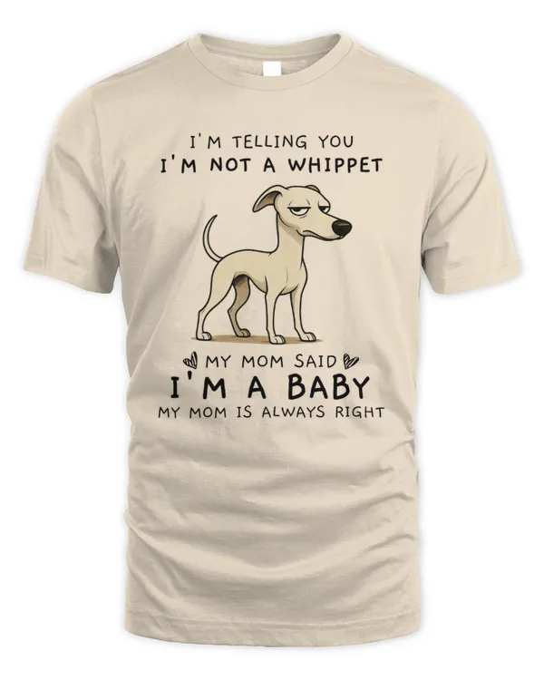 Men's Standard T-Shirt