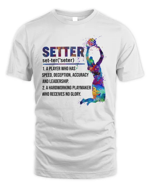 Setter volleyball