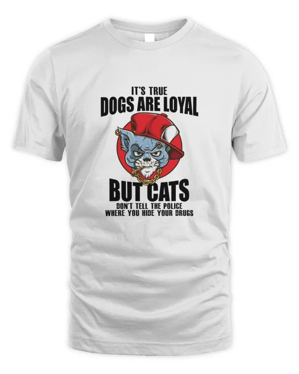 Cats are as loyal as dogs