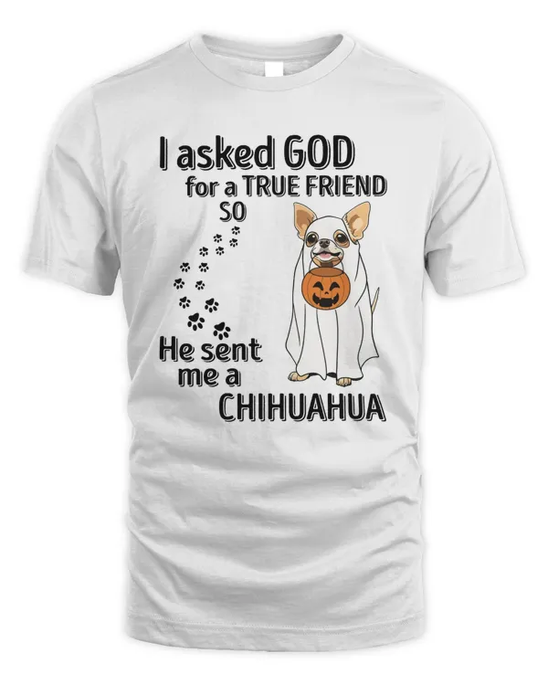 He sent me a Chihuahua