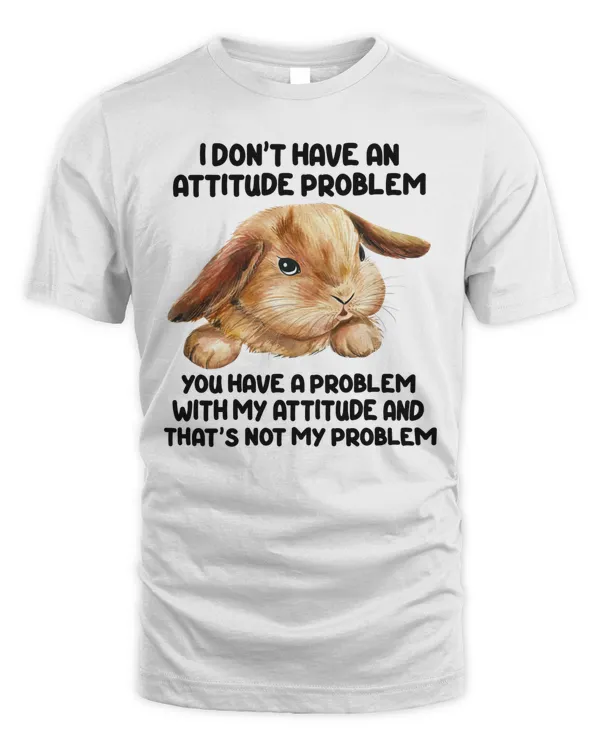 I don't have an attitude problem