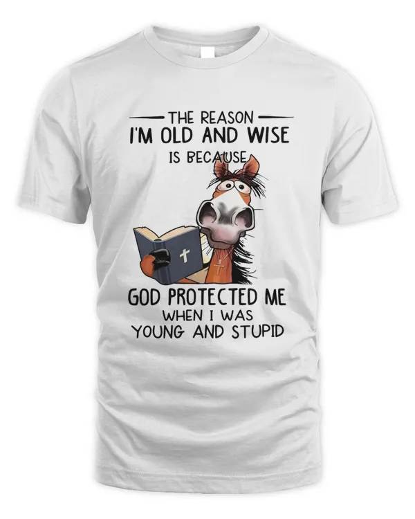 The Reason I'm Old And Wise Is Beacause God Protectd Me When I Was Young And Stupid