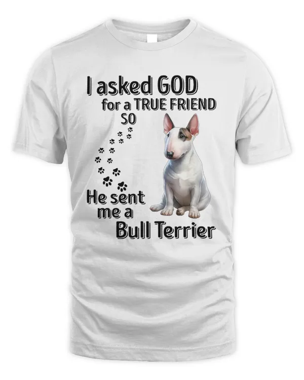 He sent me a Bull Terrier