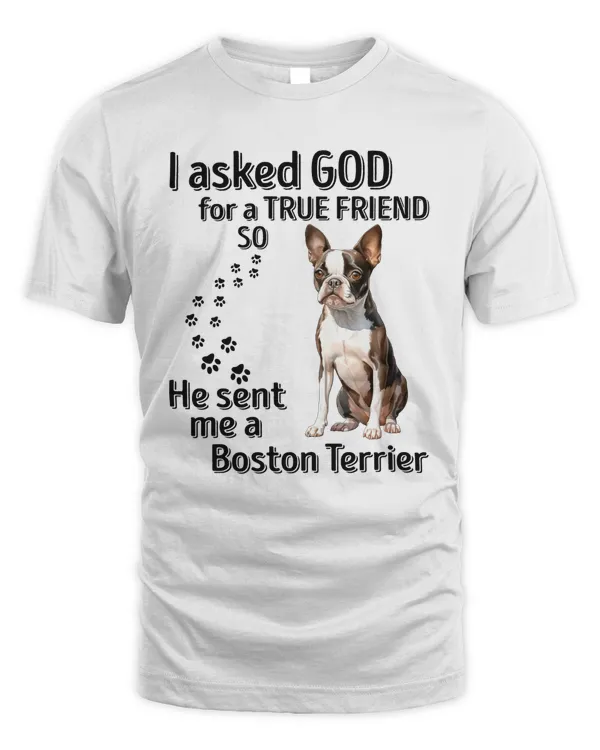 Men's Standard T-Shirt