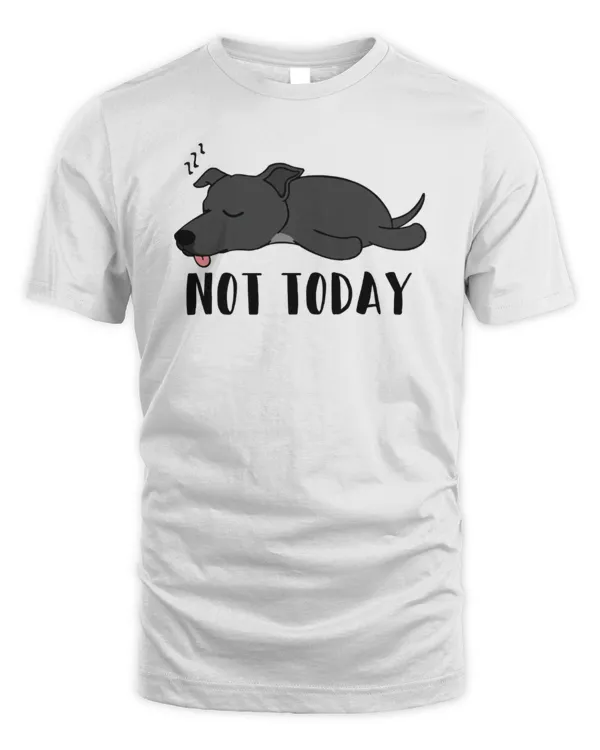 Greyhound Not Today
