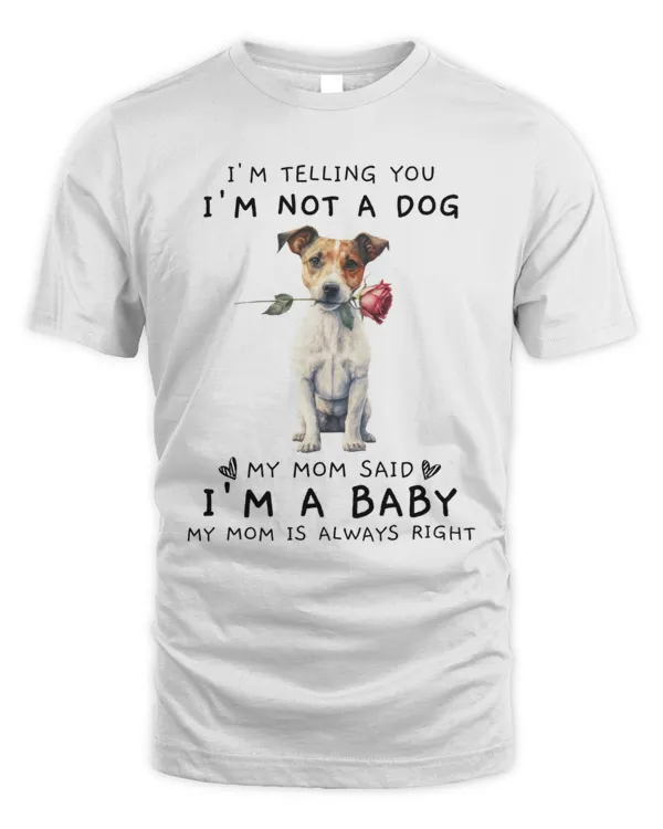 Men's Standard T-Shirt