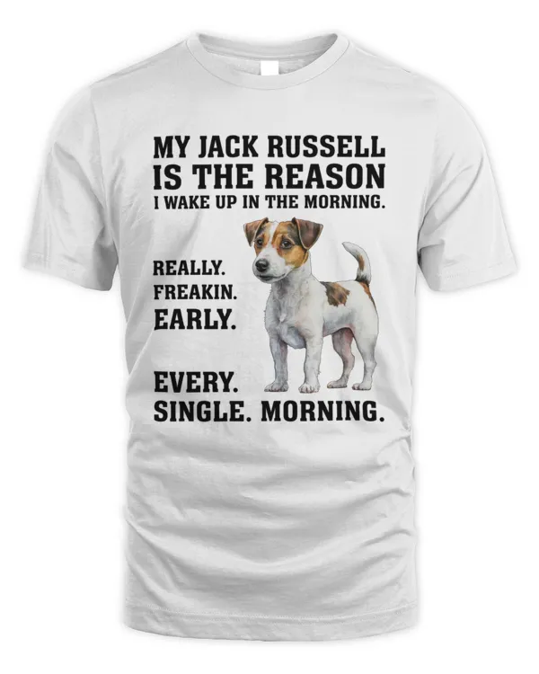 Men's Standard T-Shirt