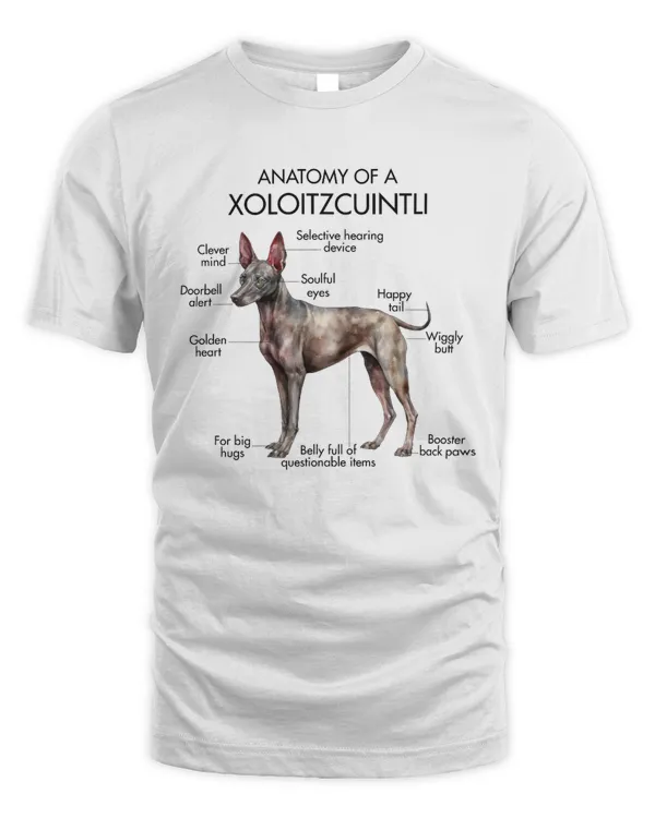 Anatomy Of A Xoloitzcuintli