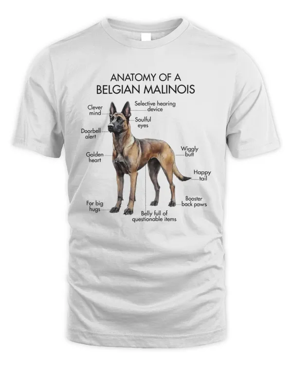 Anatomy Of A Belgian Malinois