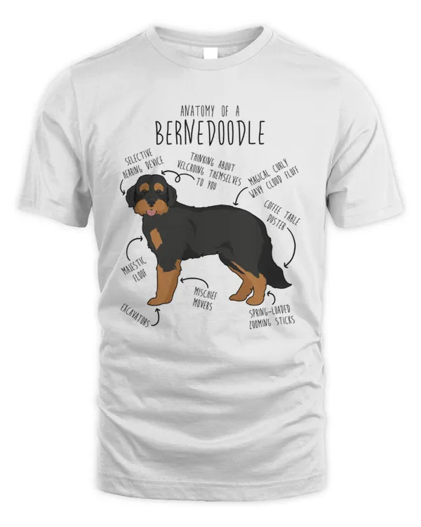 Anatomy Of A Bernedoodle