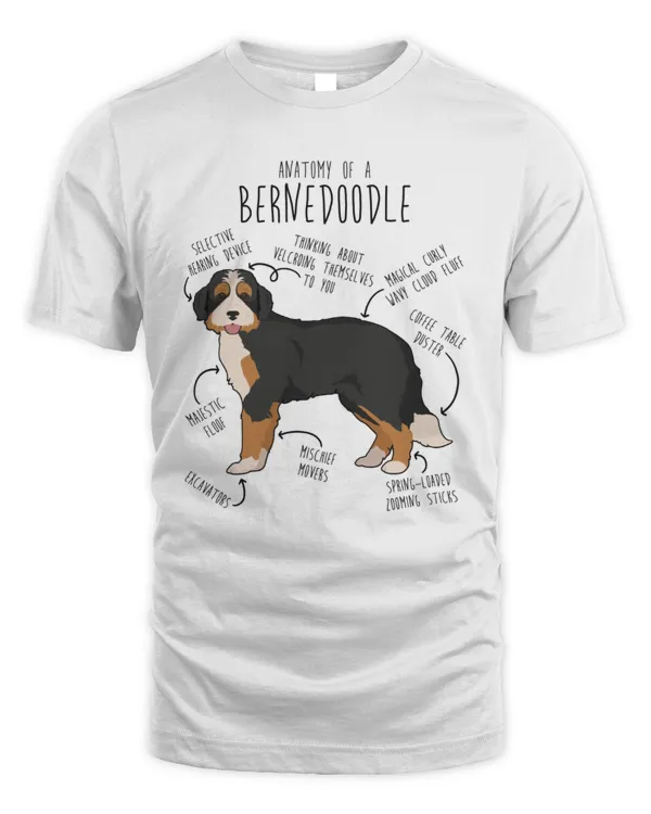 Anatomy Of A Bernedoodle