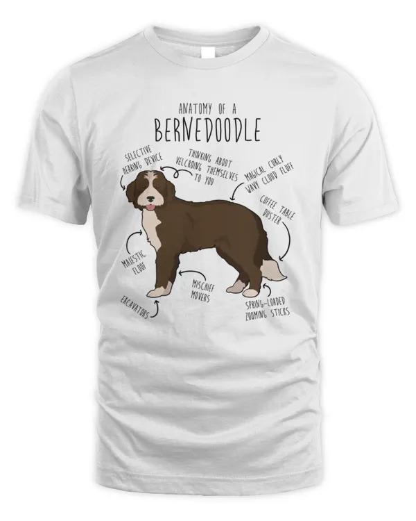 Anatomy Of A Bernedoodle