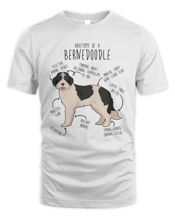 Anatomy Of A Bernedoodle