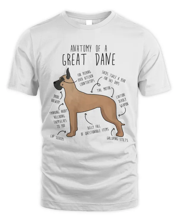 Anatomy Of A Great Dane