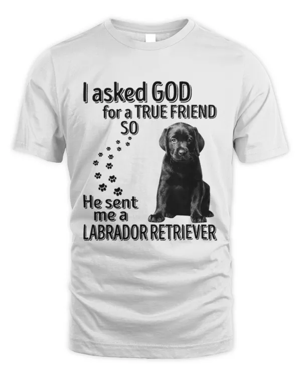 I_asked_God_-_Labrador_retriever