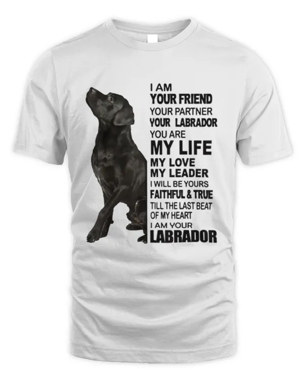 Labrador_Retriever_Black_Lab
