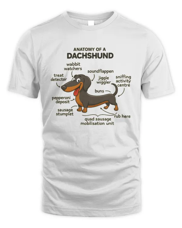 Anatomy of dachshund Anatomy of dachshund