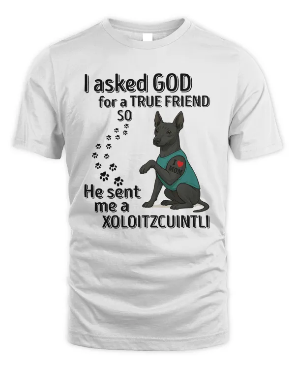 He sent me a Xoloitzcuintli