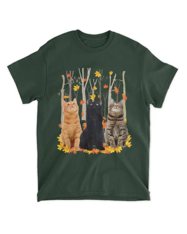 ETT1799 Cats Autumn
