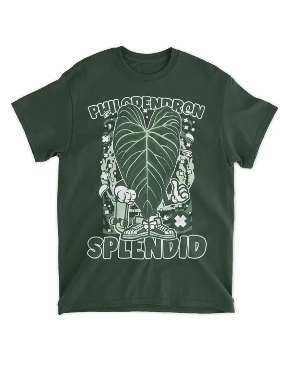 Cool Philodendron Splendid