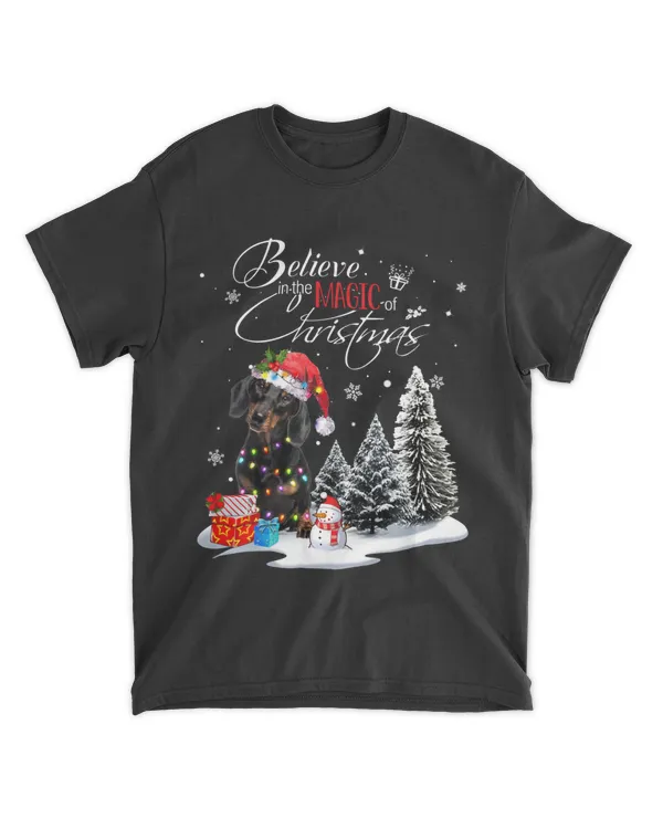 Dachshund Dog Believe in the Magic of Christmas Dog Lover
