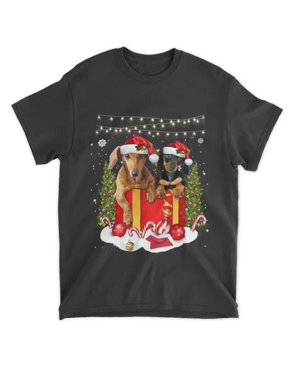 Dachshund Dog Christmas Gift Box Dachshund Lights Dog Lover