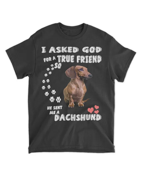 Dachshund Dog wiener and doxie Lovers I Ask God For A True Friend He Sent Me A Dachshunds 448 Dog Lover