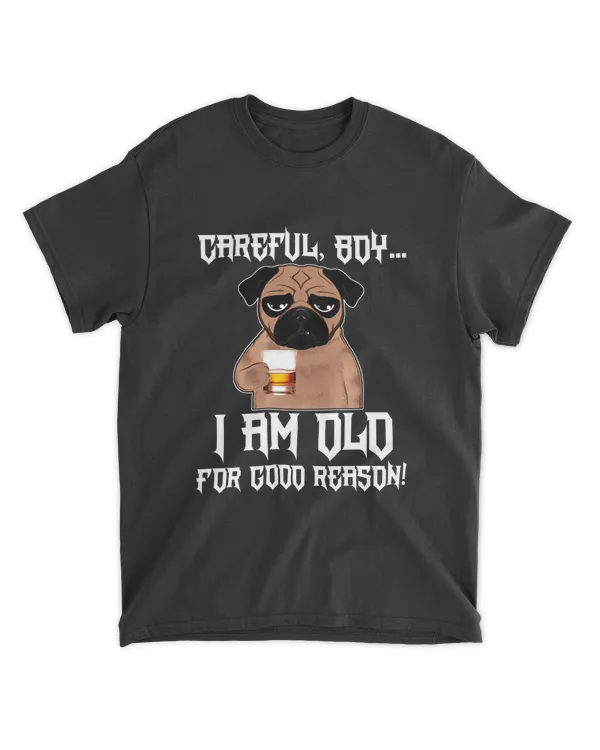 Miah1339 Careful Boy I Am Old For Good Reason Dog