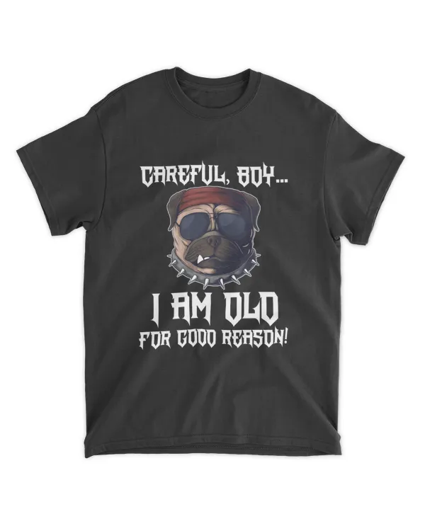 Miah1339 Careful Boy I Am Old For Good Reason Gang Dog