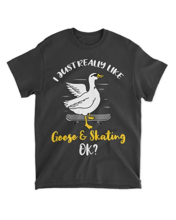 I Just Really Like Geese And Skating Ok