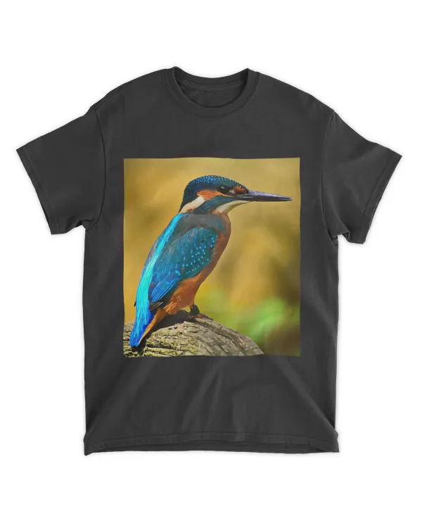 Kingfisher Bird Lover Designs Alcedinidae Kingfisher Birding 25