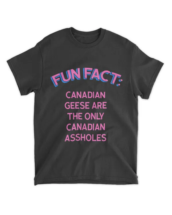 Canadian Geese Are UnCanadian Funny Animal Pun Humor 23