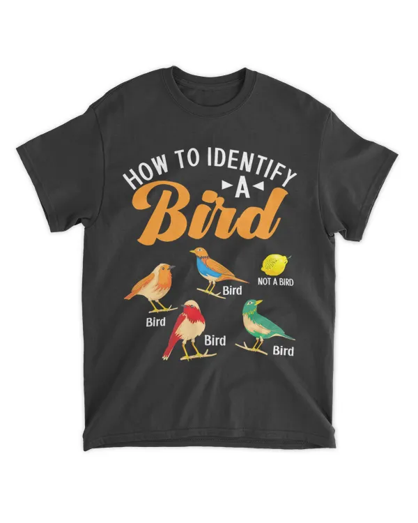 How To Identify A Bird 2Bird Watcher 2Bird Lover