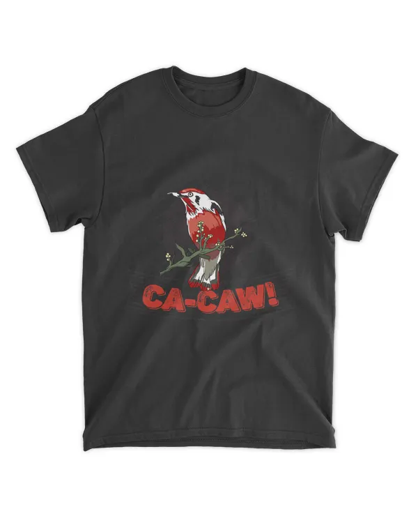 CA CAW 2Hummingbird owl crow watching