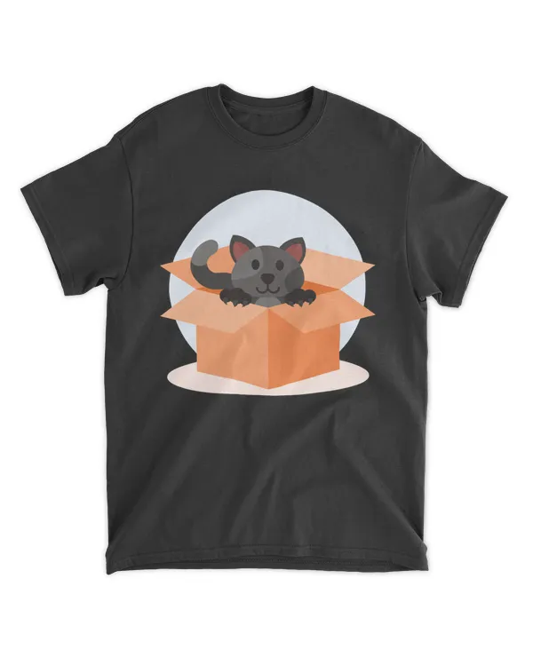 Cat in Box