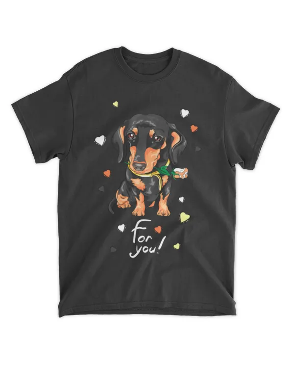 sweet dachshund