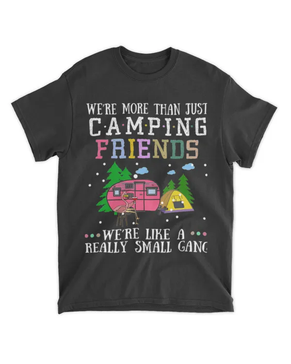 We are more than just camping friends Classic T-Shirt