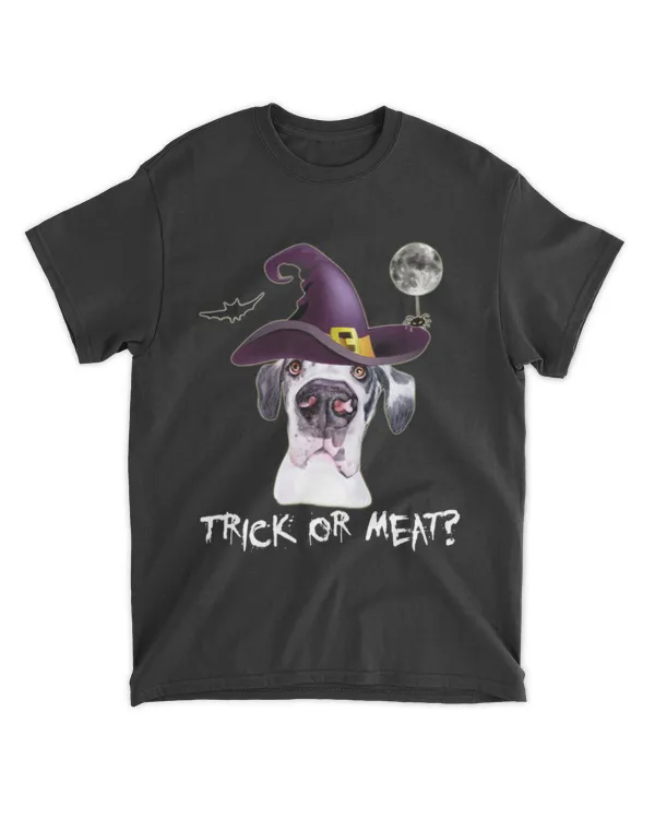 Trick Or Meat Great Dane Witch Hat Halloween