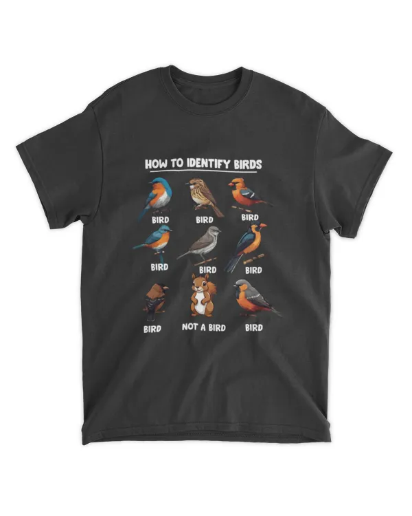 Funny Bird How to Identify Birds - Birds Lovers Watching
