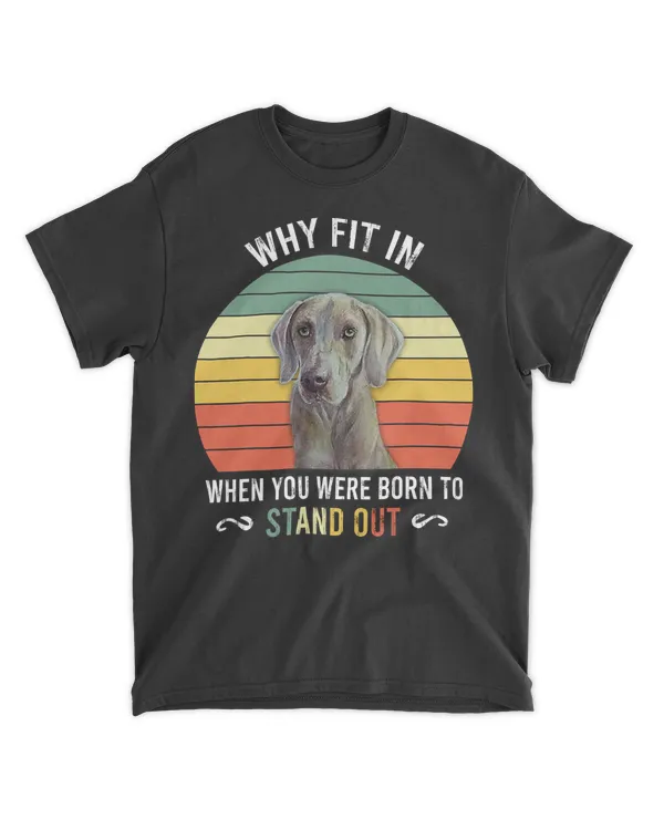 Funny Birthday For Kids With Stand Out Weimaraner T-Shirt