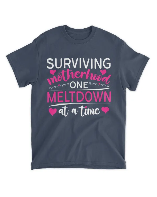 Family T-Shirt, Hoodie, Kids T-Shirt, Toodle & Infant Shirt, Gifts for your Family (35)