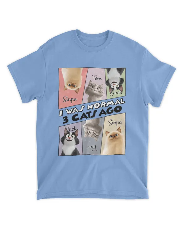 I Was Normal 3 Cats Ago - Personalized Shirt, Gift For Cat Lovers, Gift Idea For Cat Lovers