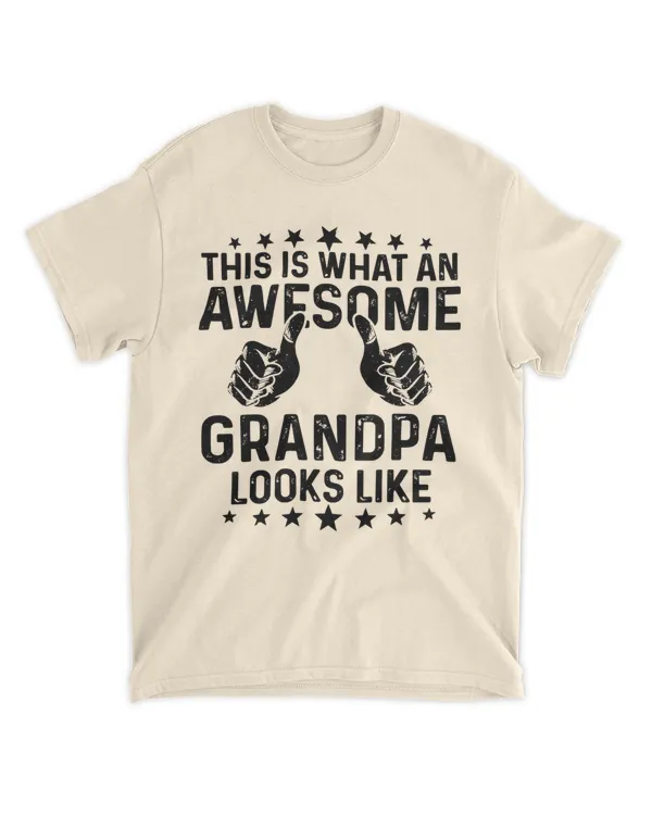 This Is What An Awesome Dad Looks Like T Shirt