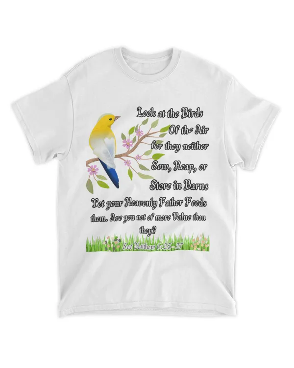 Matthew 626 2Birds of the Air 2Christian Encouragement