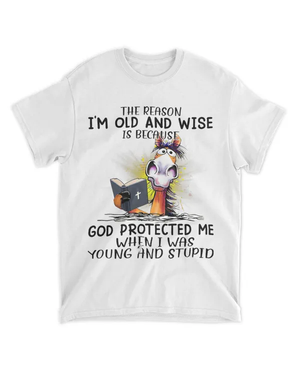Horse The Reason Im Old And Wise Is Because God Protected